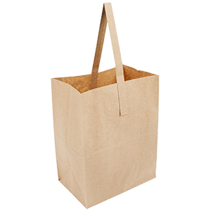 Single strap kraft paper shopping bags 300Z
