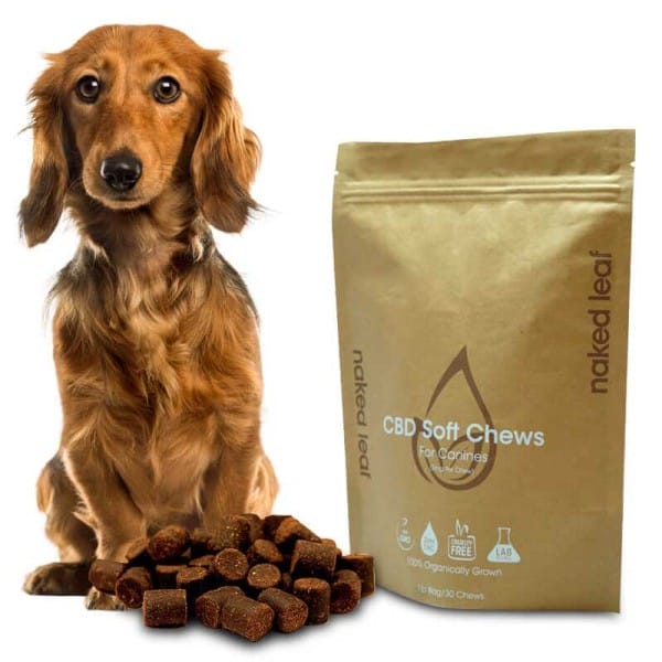 Custom Pet Food Bags Manufacturer Durable and Customizable Packaging